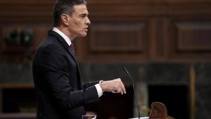 El presidente del Gobierno, Pedro Sánchez, interviene en el Congreso durante un pleno el pasado mes de abril.