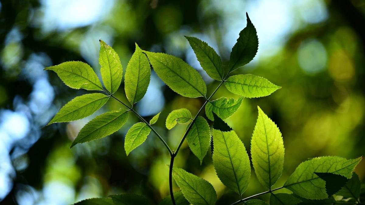 Los investigadores creen que los efectos adversos de los microplásticos se extenderán desde la seguridad alimentaria hasta la salud planetaria en las próximas décadas, si no existe un cambio real en la economía y la industria.
