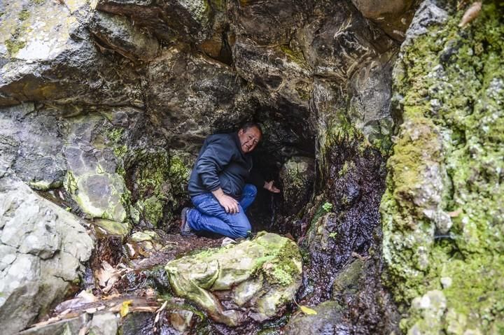 NACIENTES DE AGUA EN EL BARRANCO DE LA VIRGEN