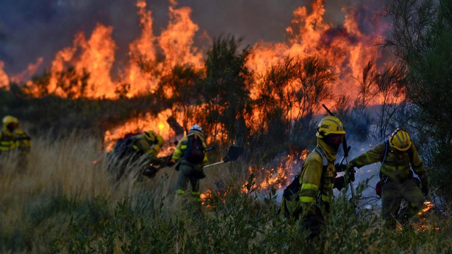 Brigadistas luchan contra el fuego en Monterrei // Brais Lorenzo