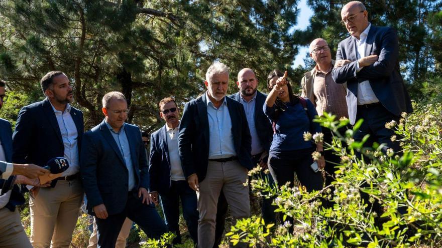 El ministro Ángel Víctor Torres, en el centro de la imagen, ayer durante su visita a Fuencaliente.