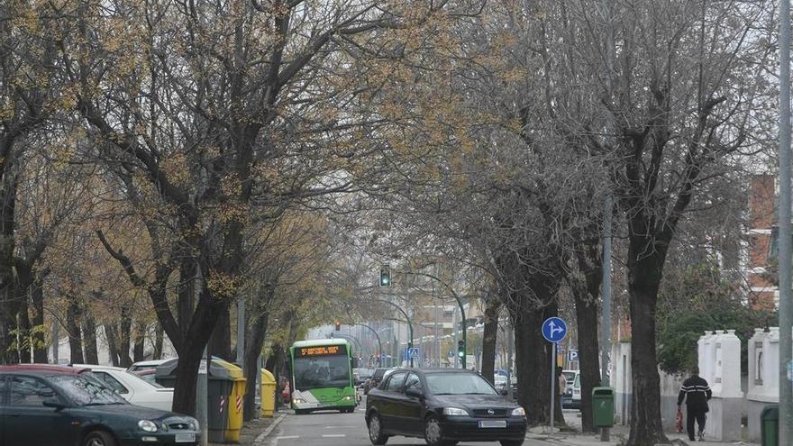 El PSOE exige que se agilicen los trámites para remodelar la avenida de Trassierra