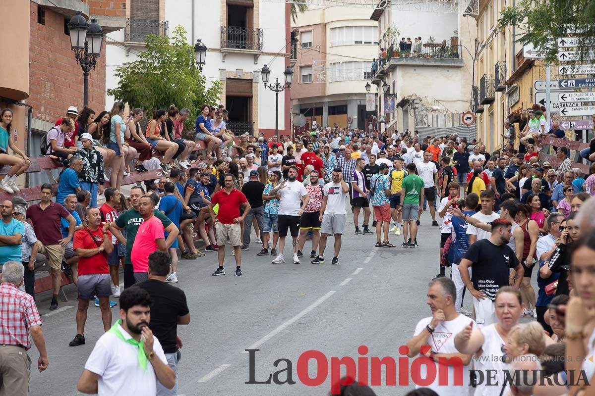 Cuarto encierro en las Fiestas de Moratalla