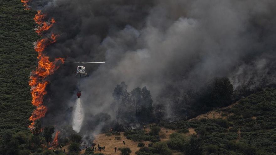 Fotogalería | 'Un verano devastador': el trabajo de Carlos Gil por el que se ha llevado el premio XLVI Premio Dionisio Acedo