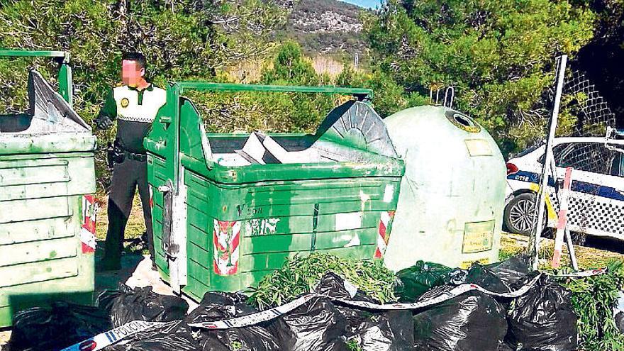 La Policía indaga el origen de las plantas de marihuana halladas en el Preventori