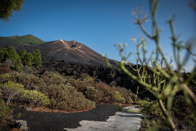 Visita al cono volcánico del Tajogaite