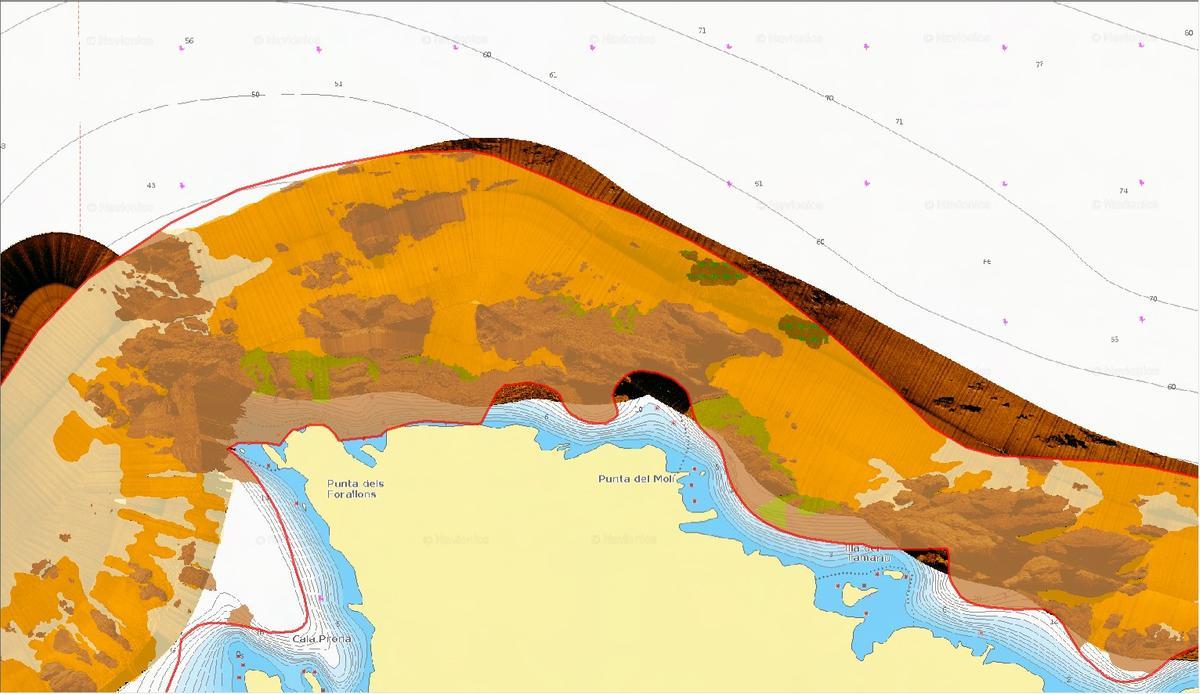 Processat de dades per l'elaboració del mapa d'hàbitats marins.