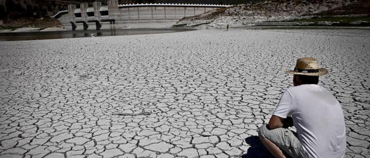 El Gobierno busca agua en Villalonga para que no se sequen miles de naranjos