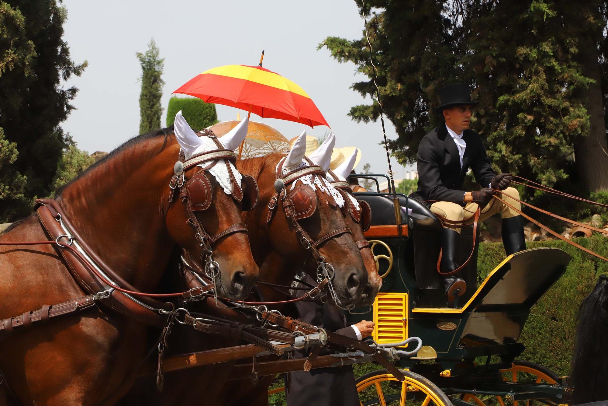 Una treintena de carruajes exhiben calidad y tradición en la Feria