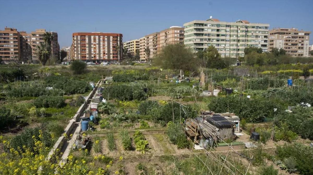 Imagen del terreno donde irá el PAI de Benimaclet