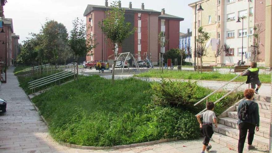 Piden mayor atención para las zonas verdes de las Malvinas (Llanes)