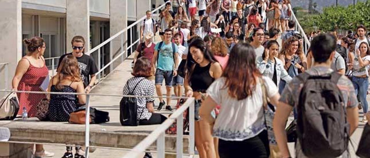 Estudiantes en el campus de la Universitat.