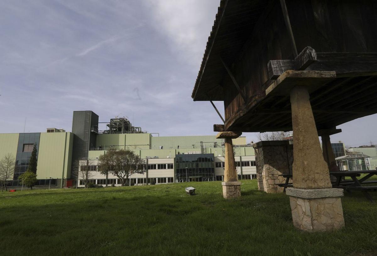 Instalaciones de Du Pont en el valle de Tamón, en Corvera. | Ricardo Solís