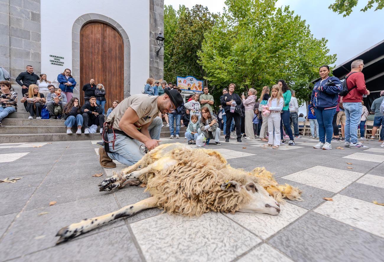 Feria 'Sabor y Tradición' en Valleseco