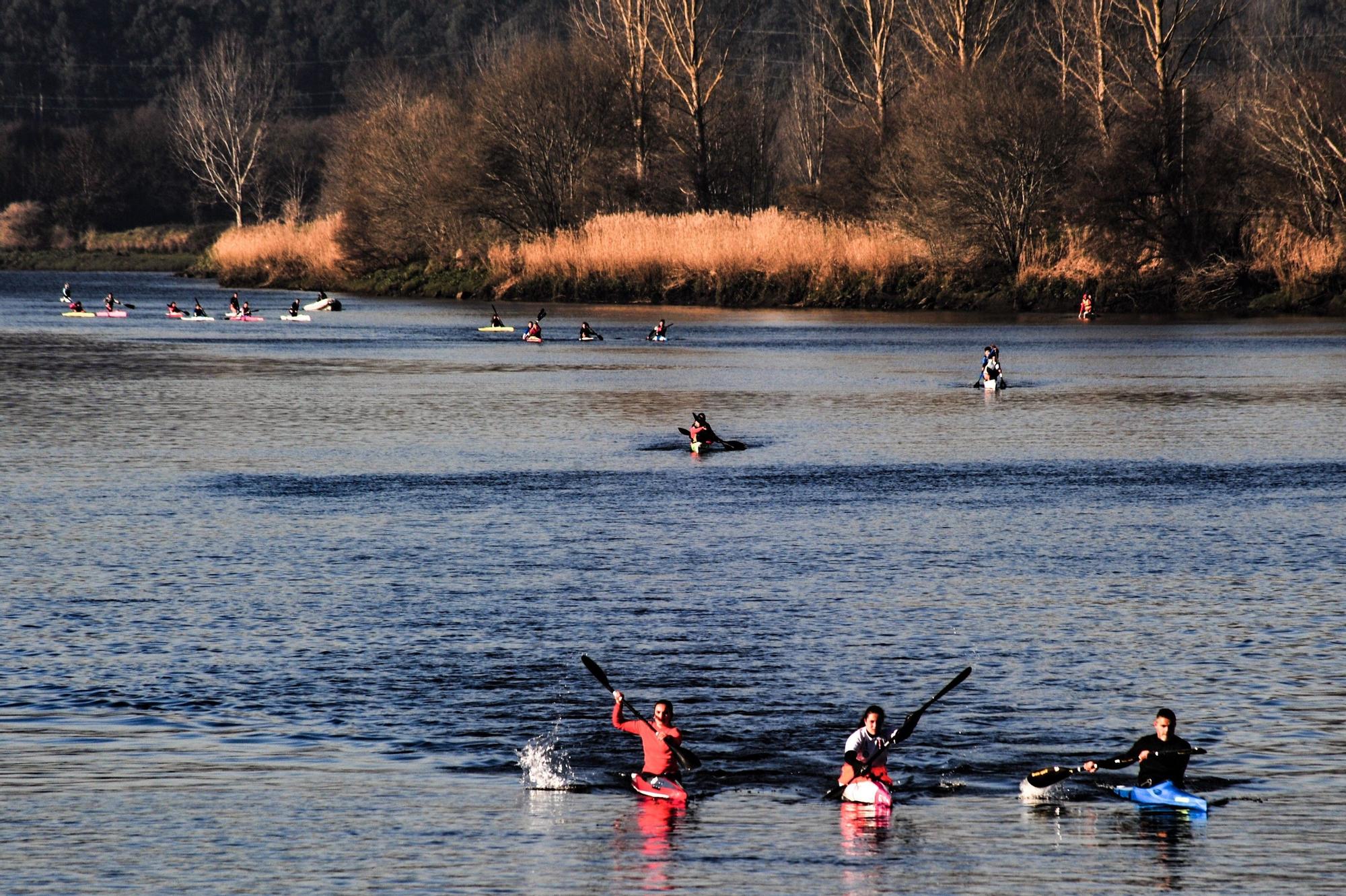 Piraguas en el río Ulla.