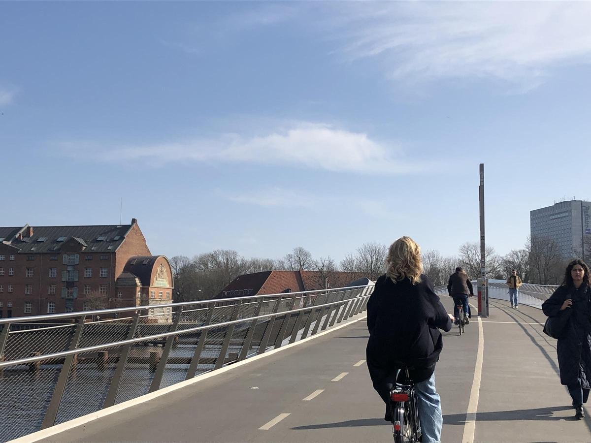 Convivencia entre el ciclista y el peatón en Copenhague