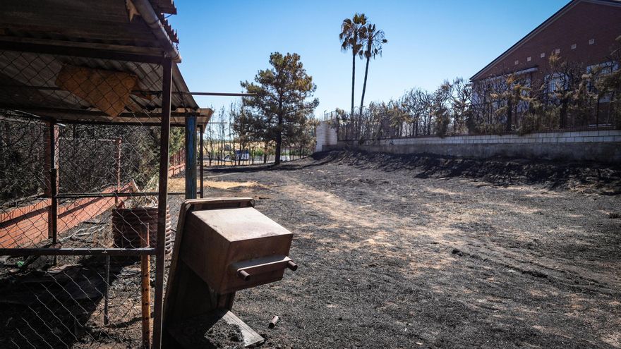 Una colilla, posible causa del origen del incendio en Las Vaguadas (Badajoz)