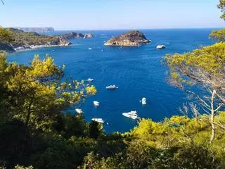 El reto de liberar la bahía del Portitxol de Xàbia de embarcaciones a motor