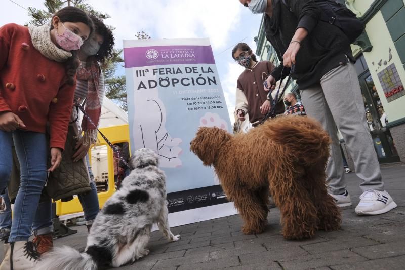 Feria de la Adopción de Animales en La Laguna