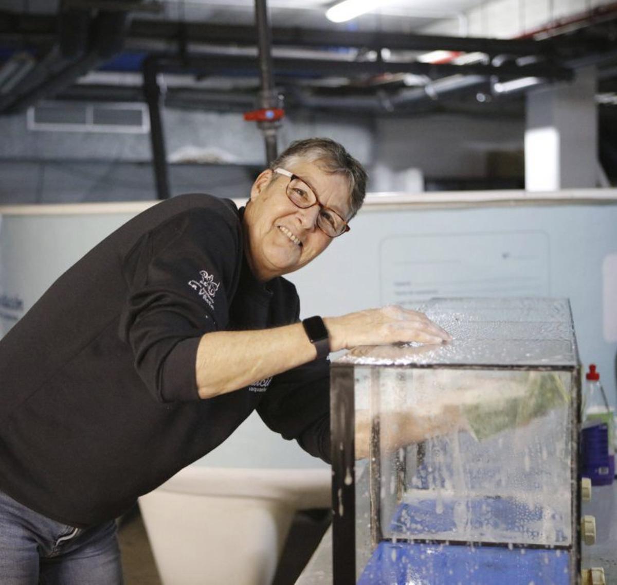 Ein Herz für die Tiere und das Meer