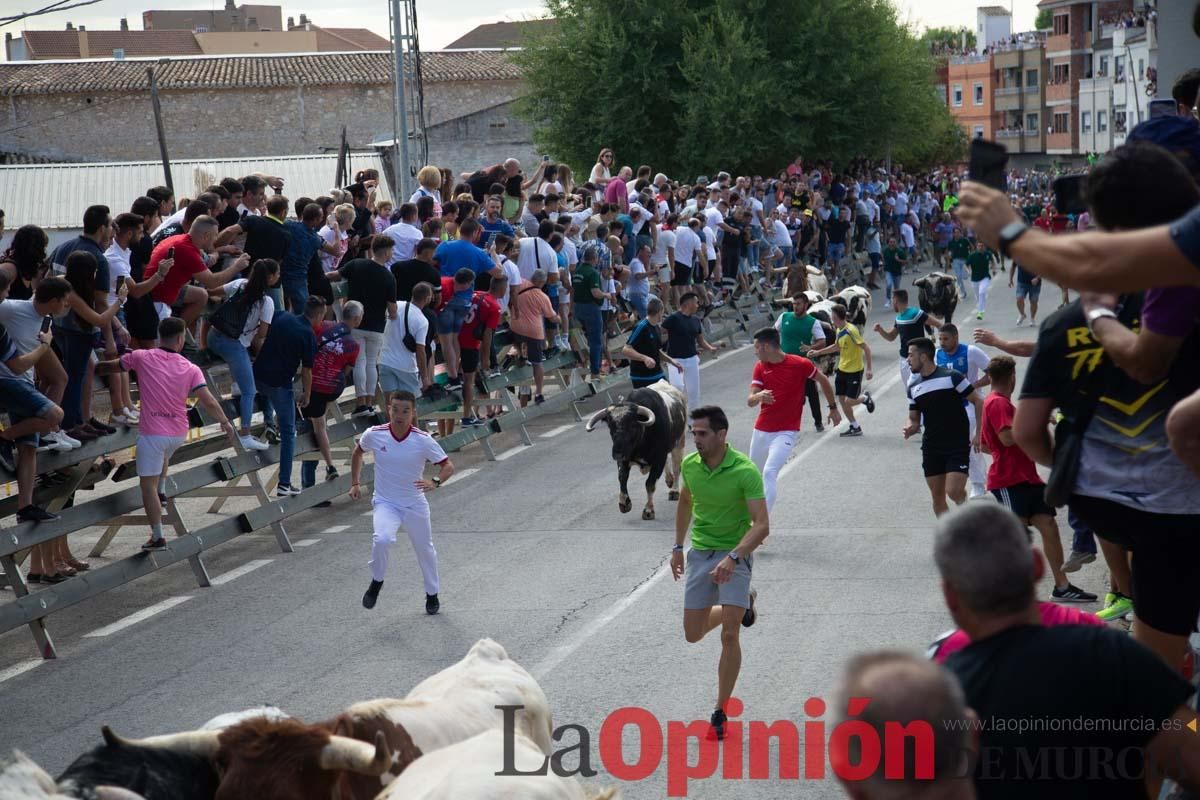 Primer encierro de la Feria del Arroz de Calasparra