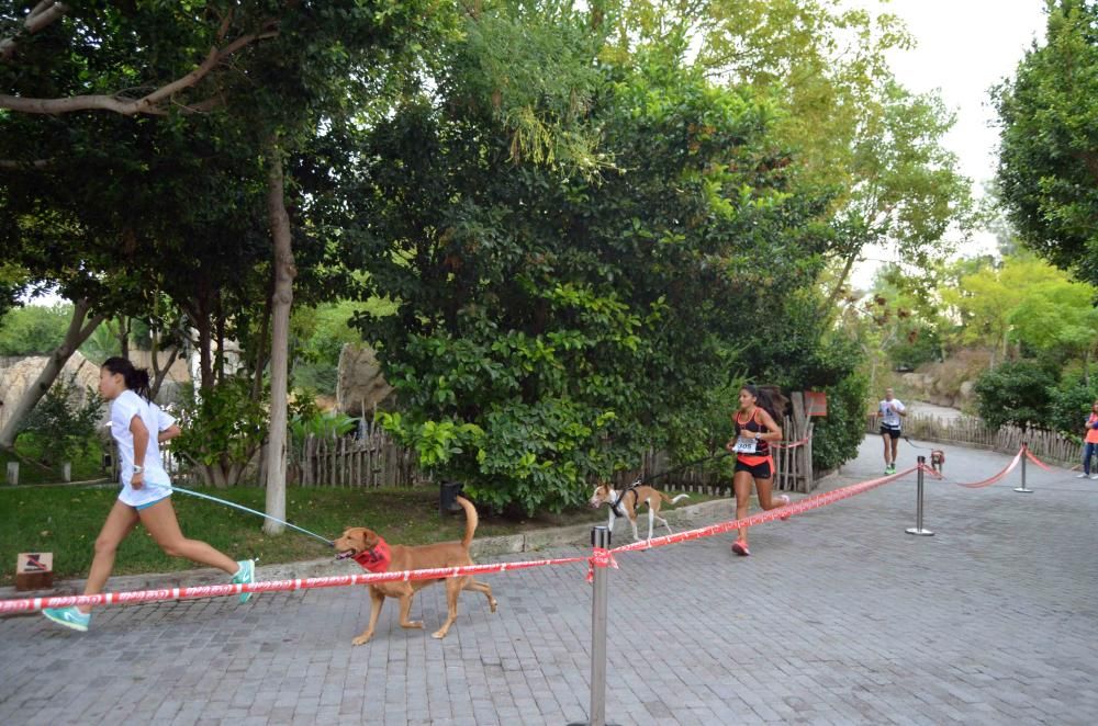 Los participantes en la cuarta Can-rrera.