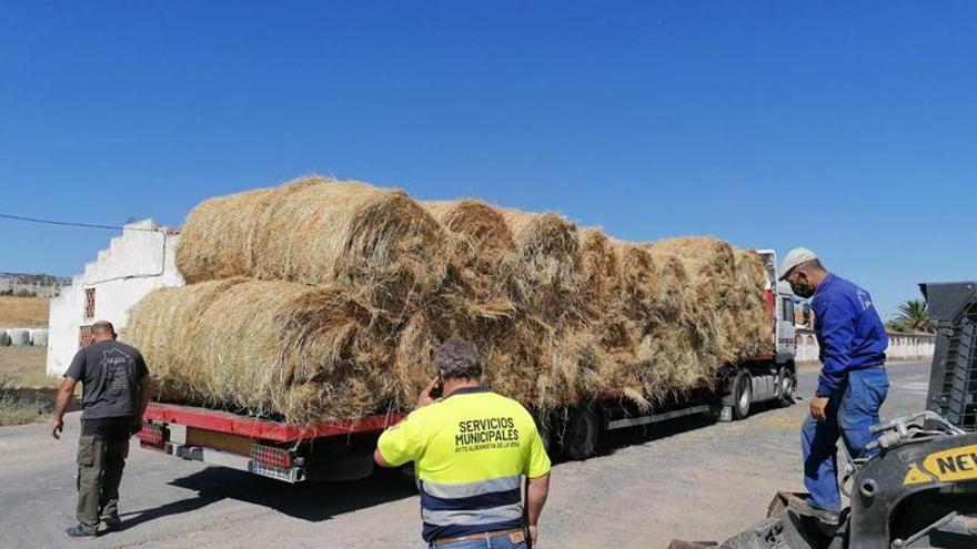 Los ganaderos locales tendrán pacas de heno