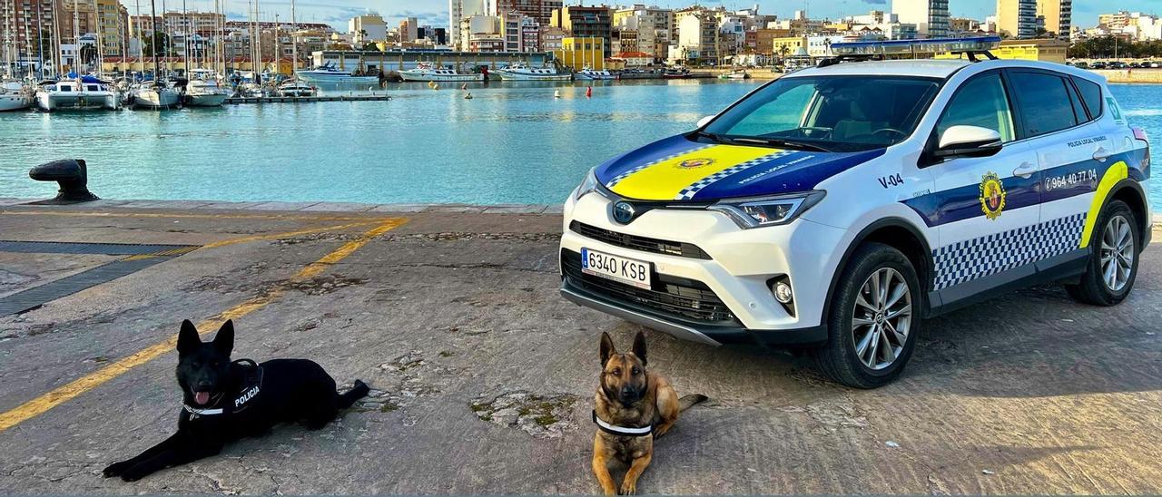 La incorporación de los dos perros al cuerpo policial ya ha dado sus frutos en Vinaròs.
