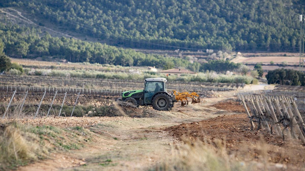 Un agricultor trabaja con su tractor en un campo de Fontanars dels Alforins.