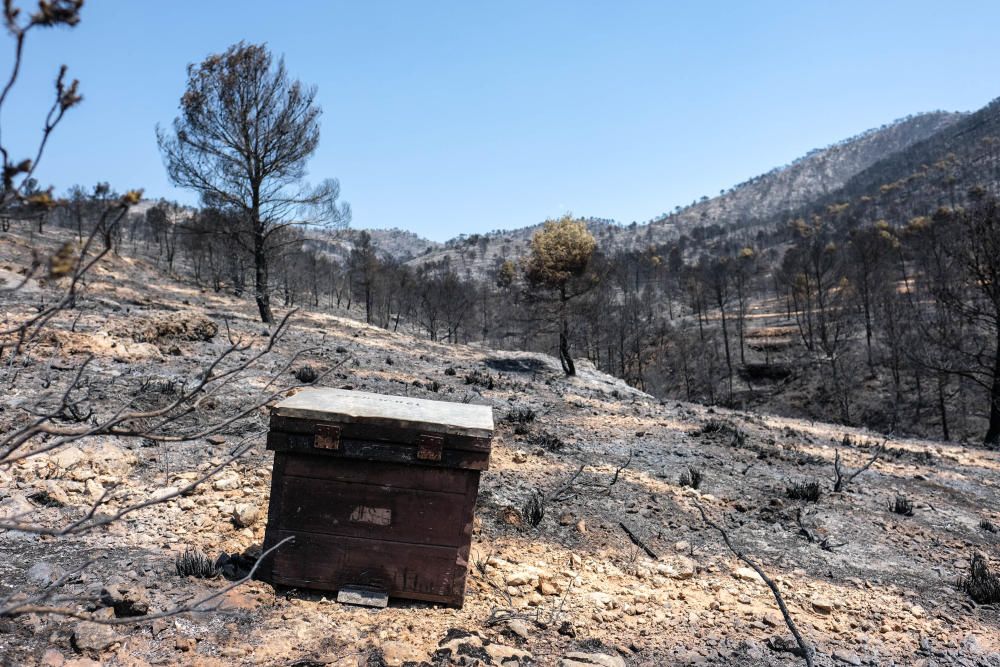 Así ha quedado la zona tras el incendio.