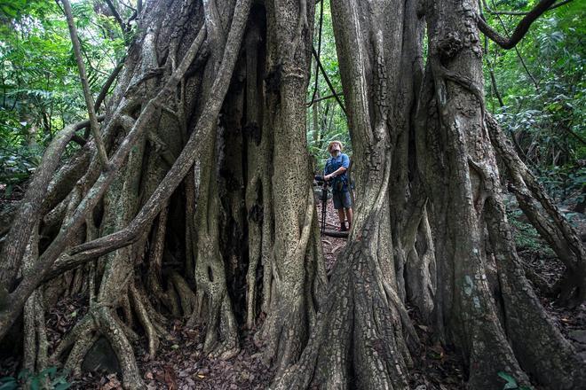 Costa Rica, salvaje y auténtica