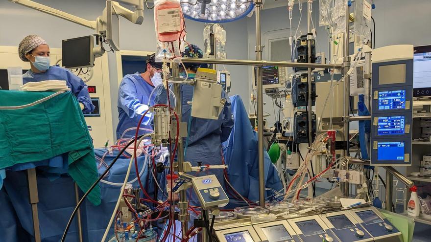 Un momento de una de las cirugías extracorpóreas realizadas recientemente en el Hospital San Juan de Dios de Córdoba.