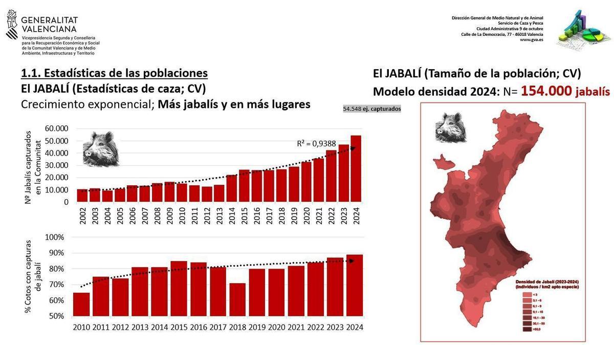 Poblaciones de jabalíes en la Comunitat Valenciana. (2010-2024)