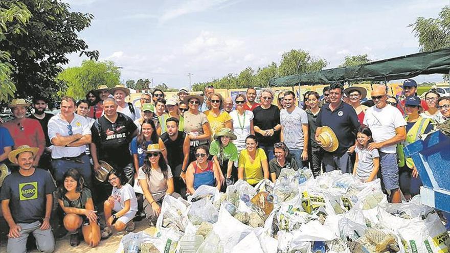 Una nova campanya neteja de plàstics el parc de l’Albufera