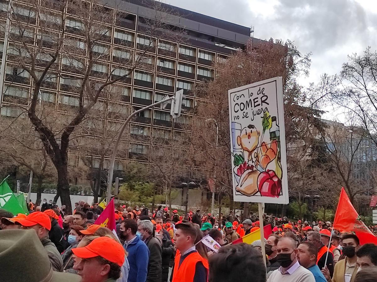 Manifestación del mundo rural en Madrid.