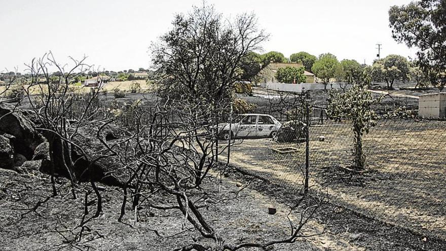 El Infoex da por controlado el fuego de Cáceres y baja a 0 la peligrosidad