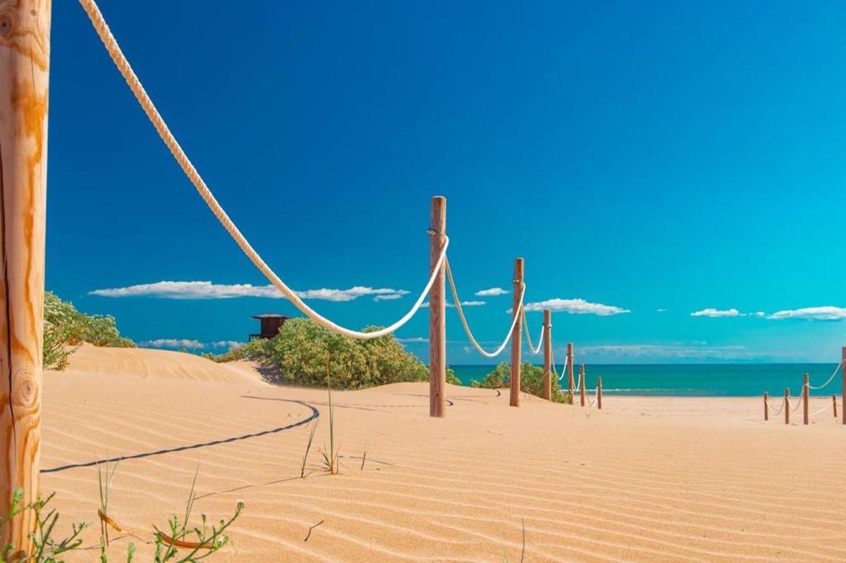 Playa de la Escollera, con su cordón dunar protegido