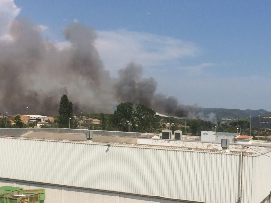 Incendi forestal a Sant Fruitós de Bages