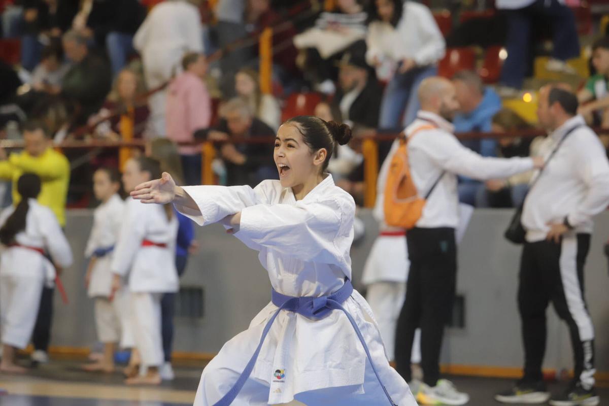 El Campeonato de Andalucía infantil de karate, en imágenes