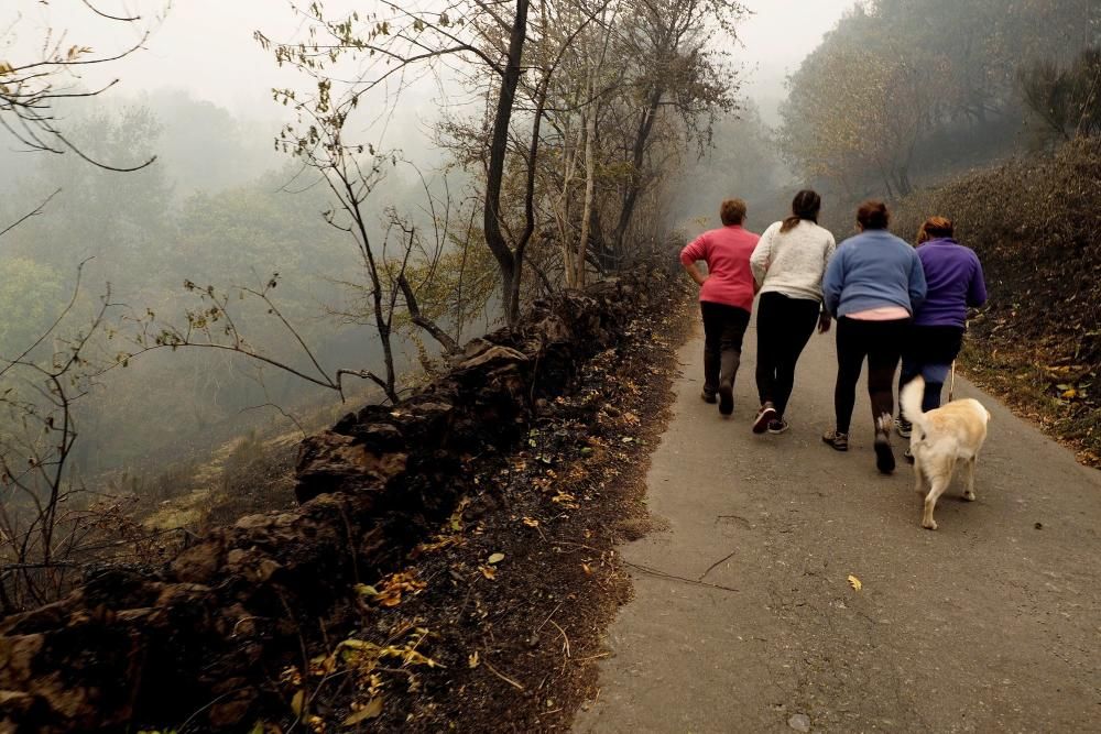 Efectes dels incendis que afecten Galícia, aquest dilluns 16 d''octubre del 2017