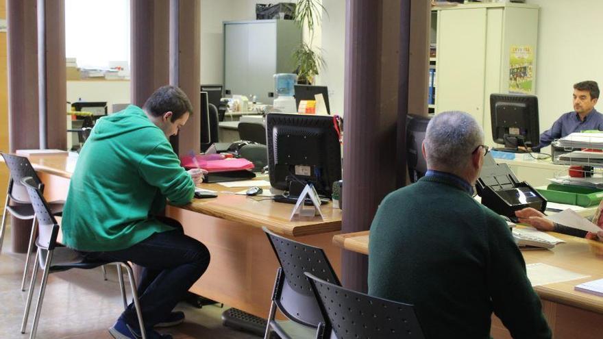 Nules contratará a seis jóvenes calificados durante un año