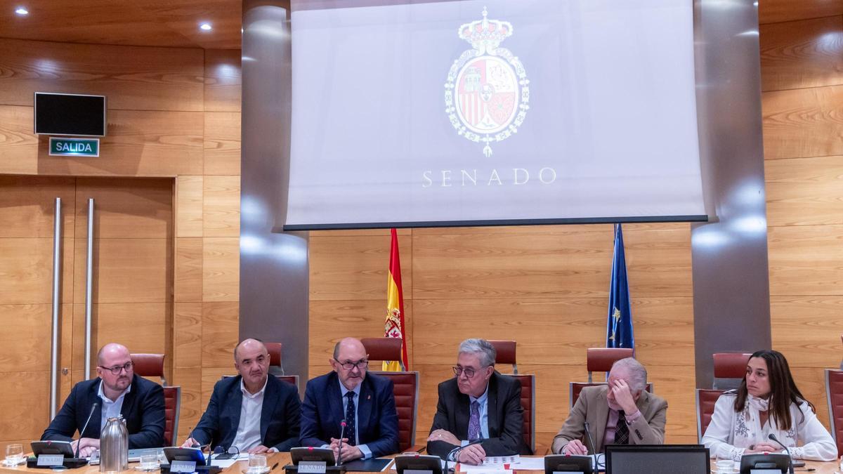 Rafael Louzán estuvo presente en el Senado