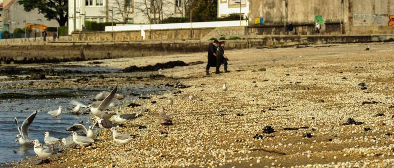 La playa de Compostela, zona de trabajo de las mariscadoras de Carril.