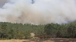 Un incendio alcanza el núcleo de O Sexo
