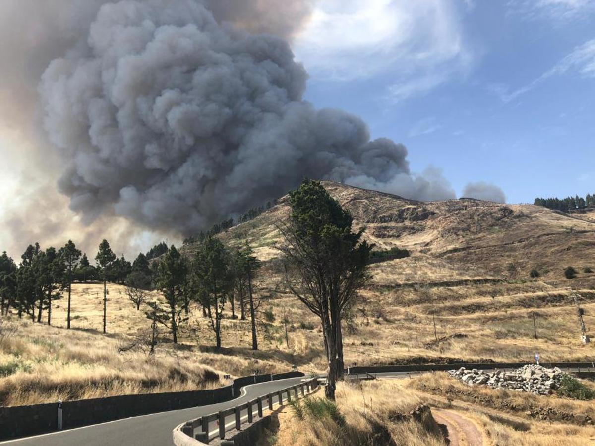 Perspectivas del incendio de Valleseco Perspectivas del incendio de Valleseco
