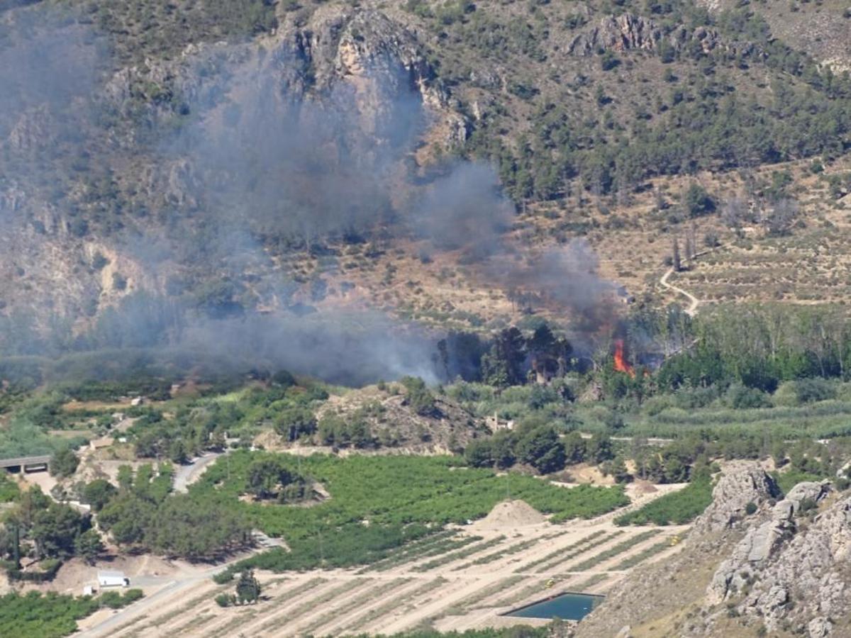 Un incendio forestal en el Menjú de Cieza rodea un Un incendio forestal en el Menjú de Cieza rodea un