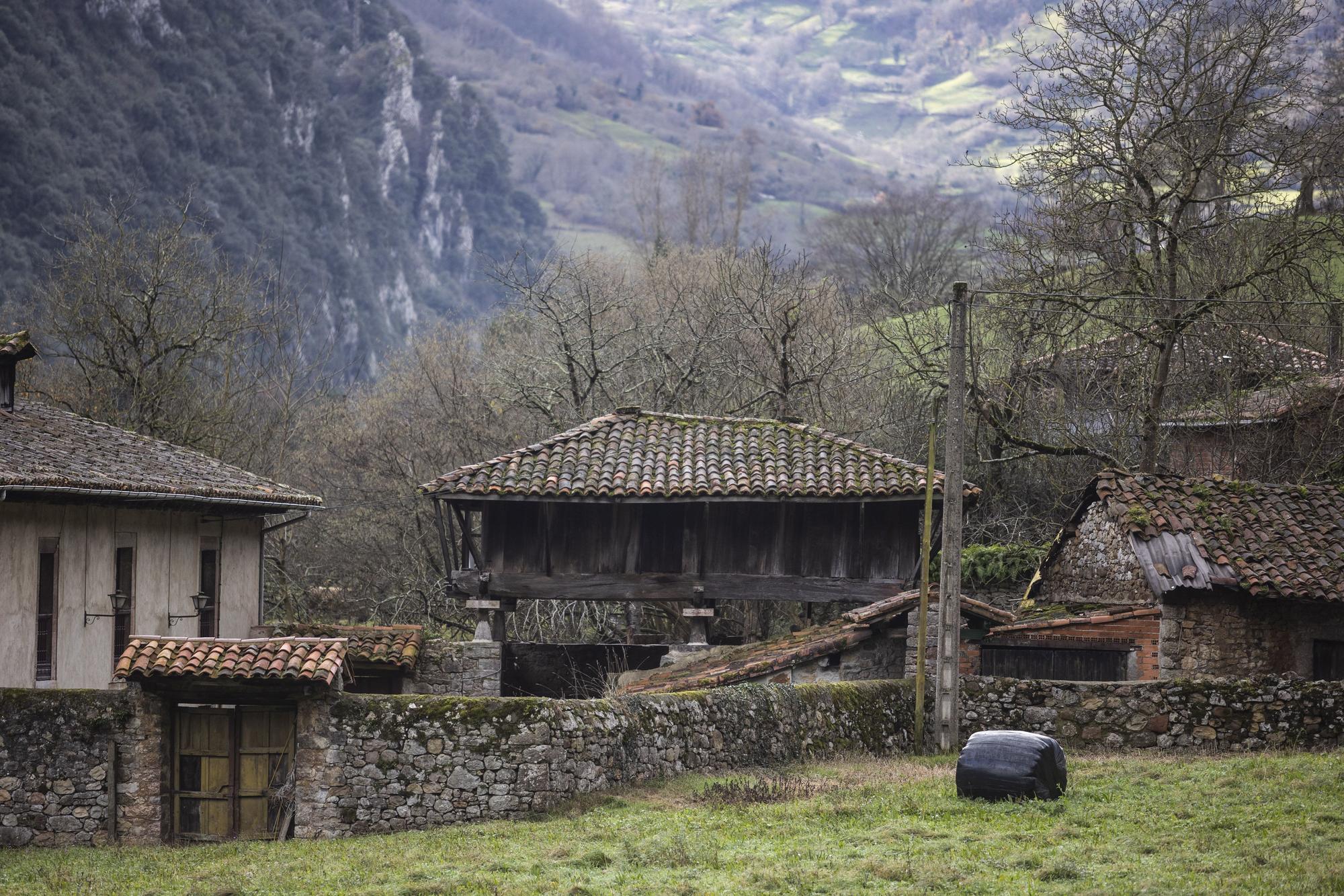 Asturianos en Santo Adriano, un recorrido por el municipio