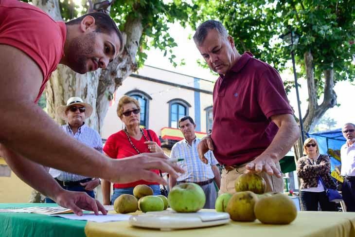 Fiesta de la manzana de Valleseco