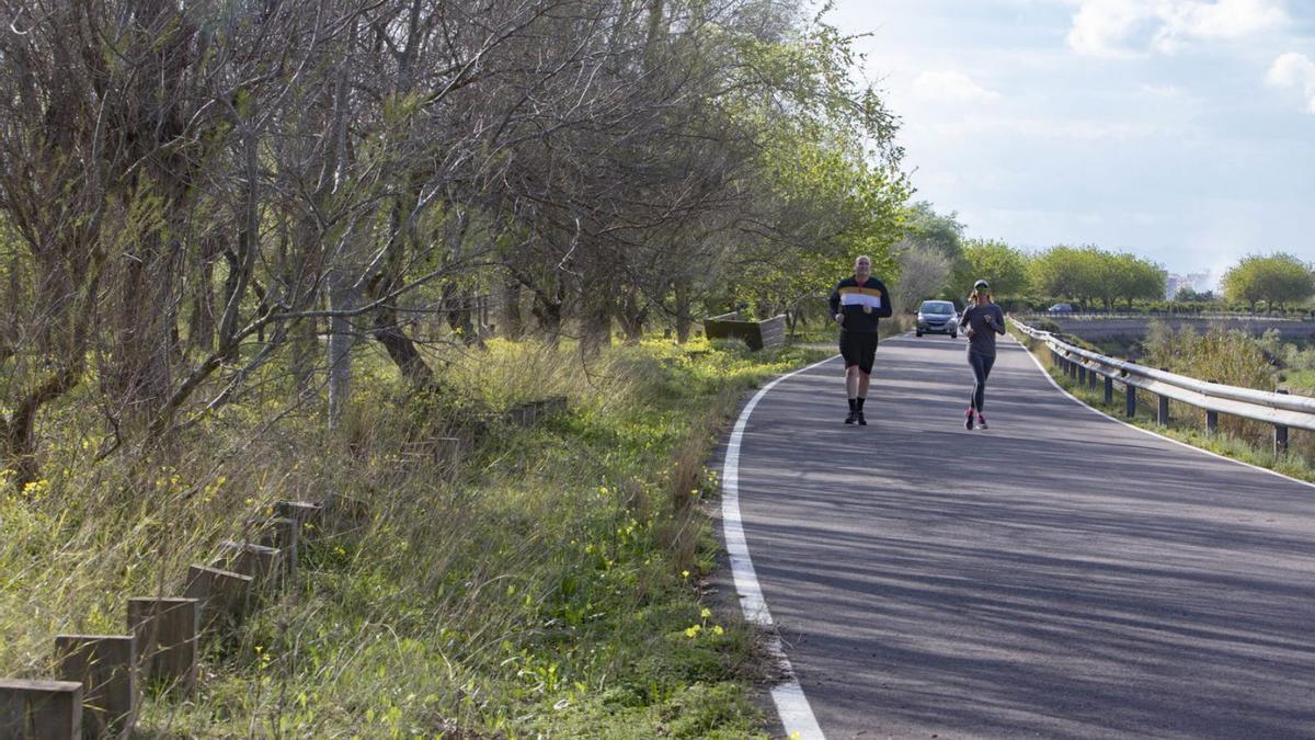 Un par de personas corre junto a las zonas verdes de Algemesí, en una zona de archivo. | PERALES IBORRA