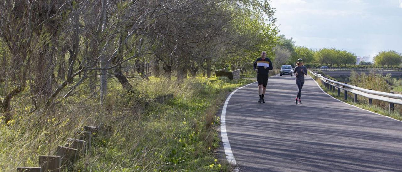Un par de personas corre junto a las zonas verdes de Algemesí, en una zona de archivo. | PERALES IBORRA